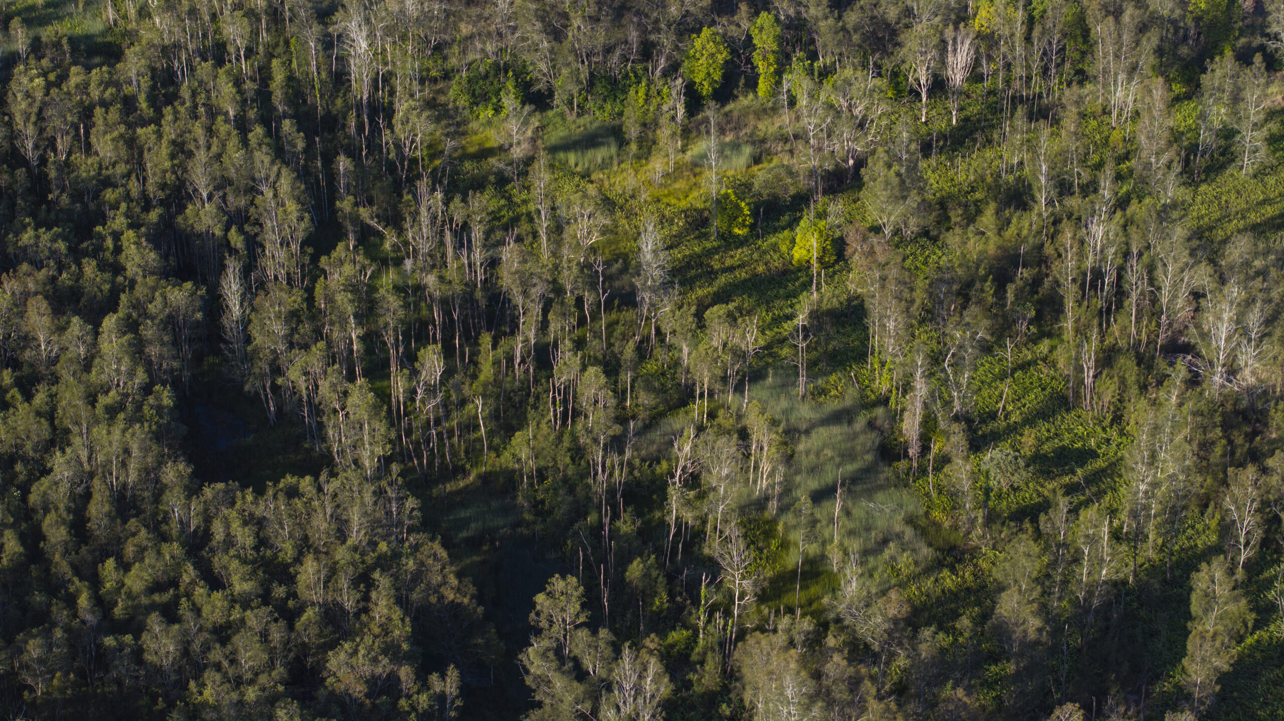 Wide overhead view of Cumulus site with landscaped grounds and planned residential buildings